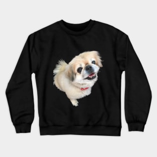 Lucy fur Real - adorable pekingese dog Crewneck Sweatshirt